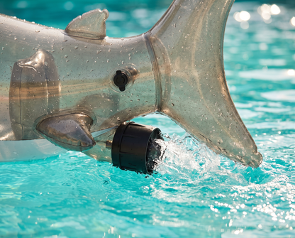 Shark Floatie